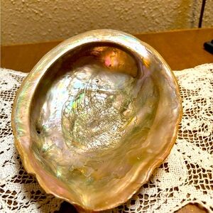 Gorgeous Vintage Mother of Pearl Abalone Seashell